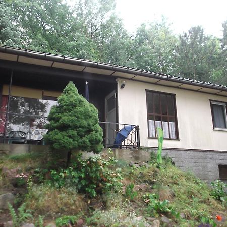 Bungalows Zur Alten Faehre Werder  Habitación foto