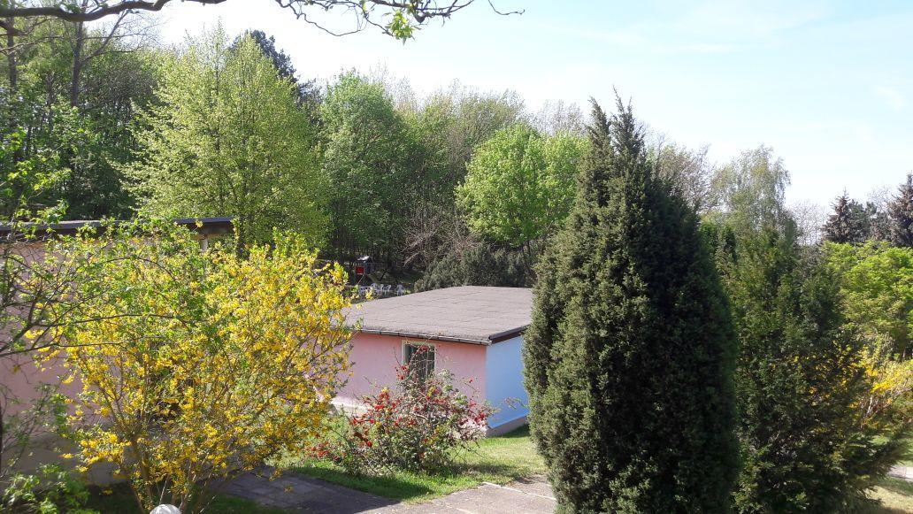 Bungalows Zur Alten Faehre Werder  Exterior foto