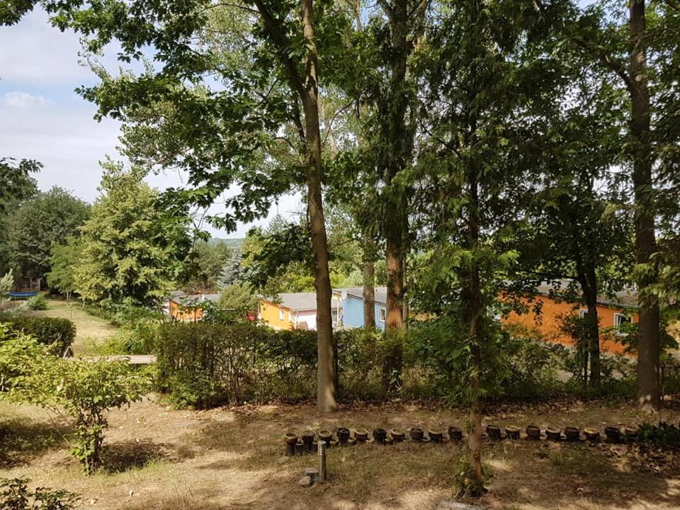 Bungalows Zur Alten Faehre Werder  Exterior foto